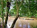 Xuồng chở trái cây bán ở Long Xuyên.