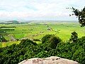 Một cánh đồng rộng lớn tại vùng đất Hòn Đất.