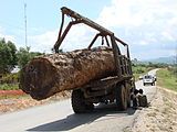 Xe tải chở gỗ tại Lào vào năm 2009