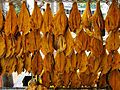 Ở miền Nam Việt Nam, cá tra được làm khô.