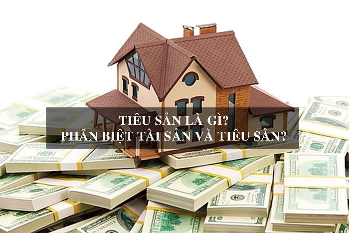 Khái niệm tiêu sản và tài sản? Phân biệt chúng ra sao?