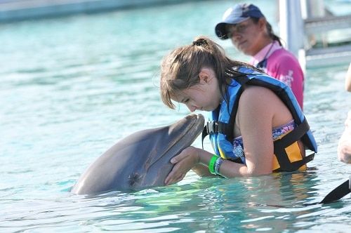 girl giving a dolphin a kiss on the nose during a shore excursion