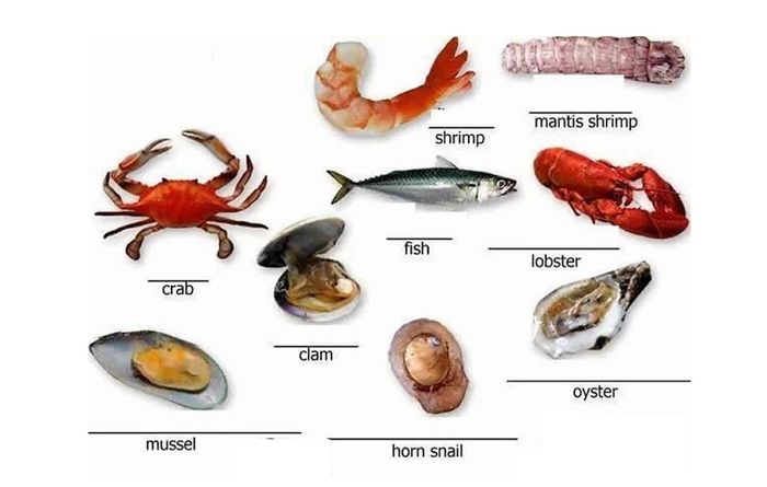 Các loại hải sản phong phú