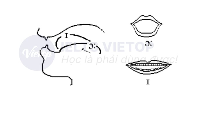 phương pháp phát âm nguyên âm ɔɪ