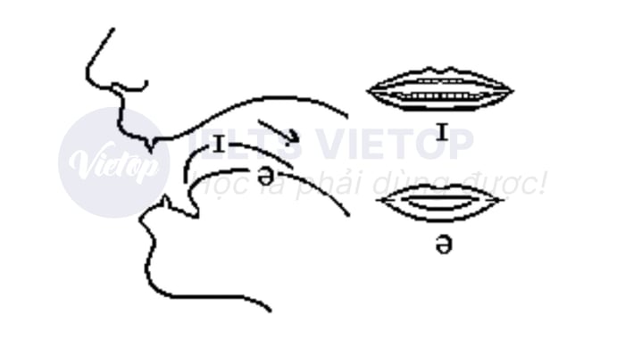 cách phát âm nguyên âm ɪə số 2