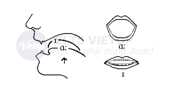 phương pháp phát âm nguyên âm aɪ 1