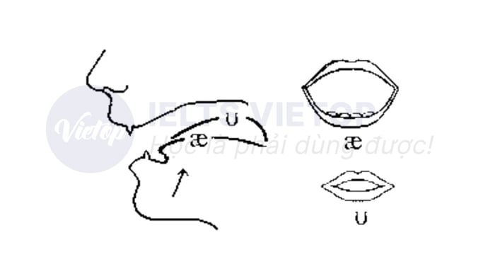 cách phát âm nguyên âm aʊ