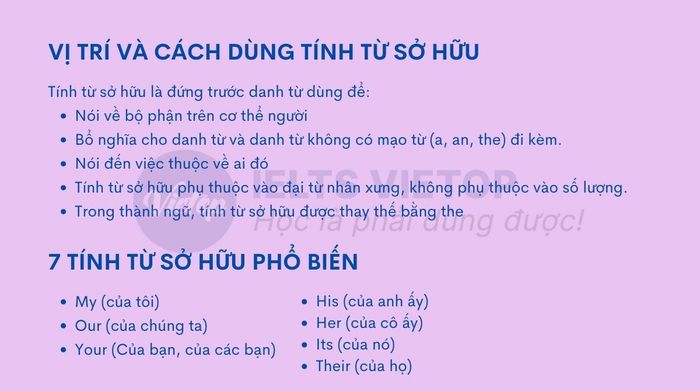 Tổng hợp kiến thức