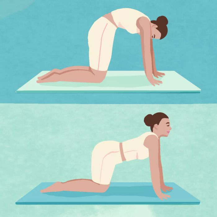 Illustration of Beginner Pilates Cat and Cow Exercise