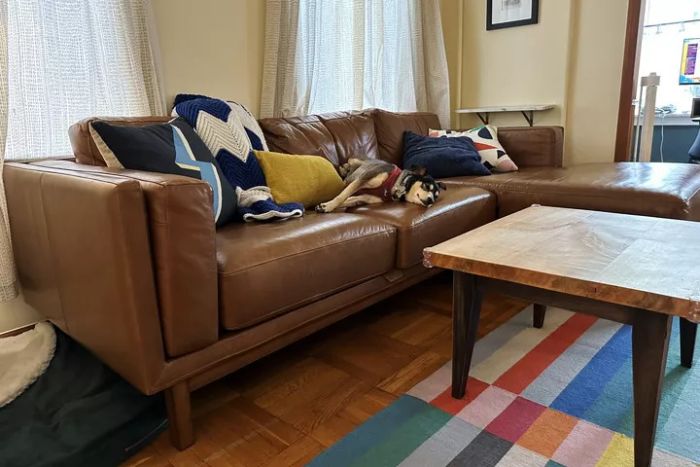 A living room featuring a brown leather sofa sourced from West Elm.