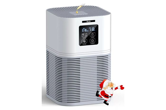VEWIOR Air Purifiers for Home, HEPA Air Purifiers for Large Room up to 600 sq.ft, H13 True HEPA Air Filter with Fragrance Sponge 6 Timers Quiet Air Cleaner for Pet Dander Wildfire