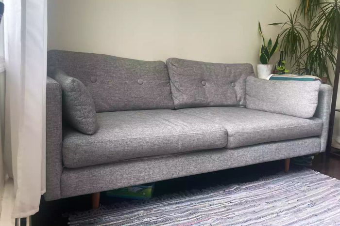 A gray Apt2B loveseat placed near houseplants and a rug