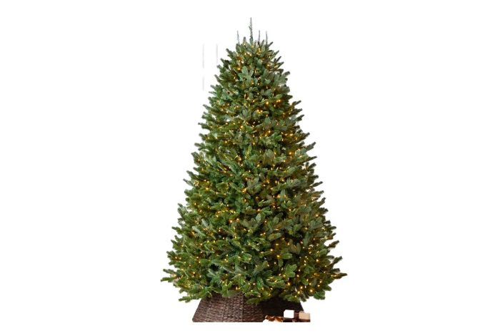 BH Fraser Fir® Tree