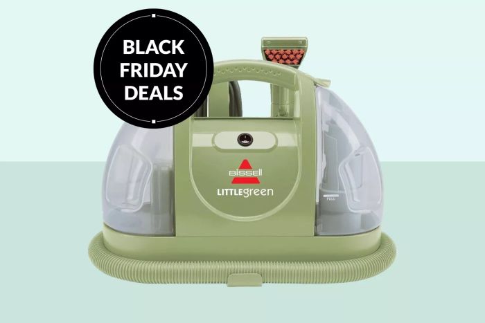 Exclusive Little Green Cleaner Offer