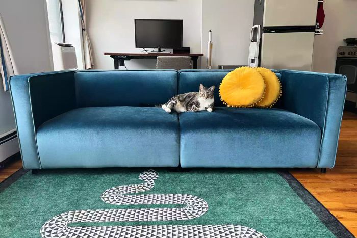 A dark blue velvet sofa from Rove Concepts
