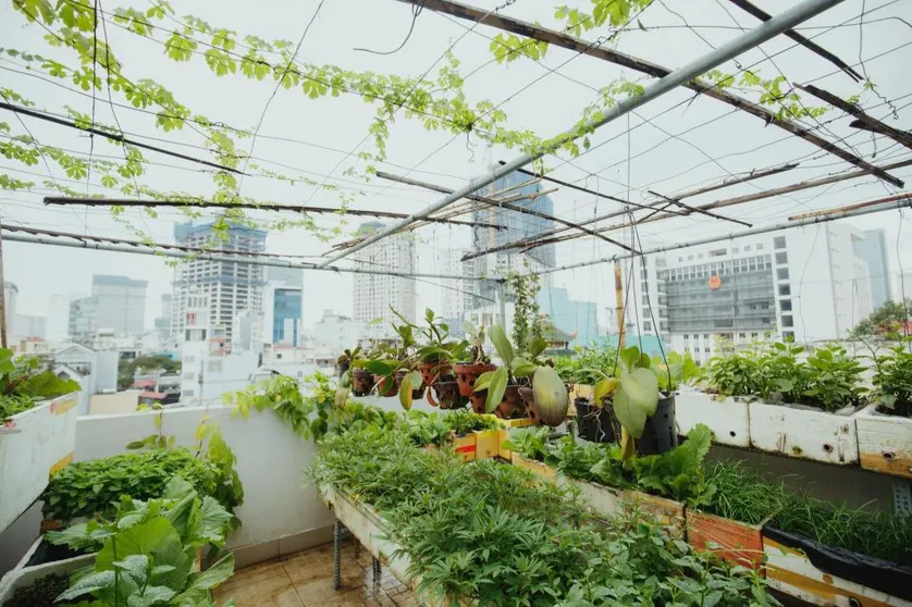 Ảnh Urban House Saigon 2 Deluxe room with balcony