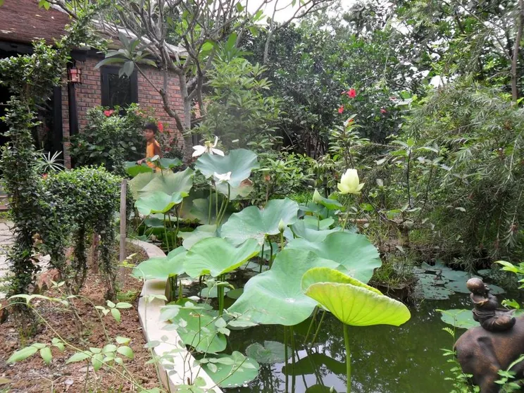 Ảnh Nhà nghỉ Tâm Tịnh Viên (Tam Tinh Vien Homestay)