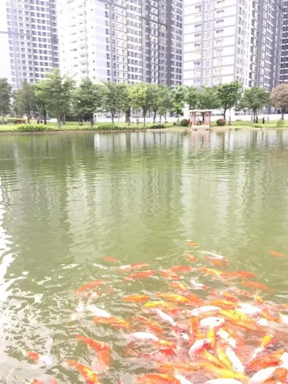 Ảnh Vinhomes Sun Apartment 3BR