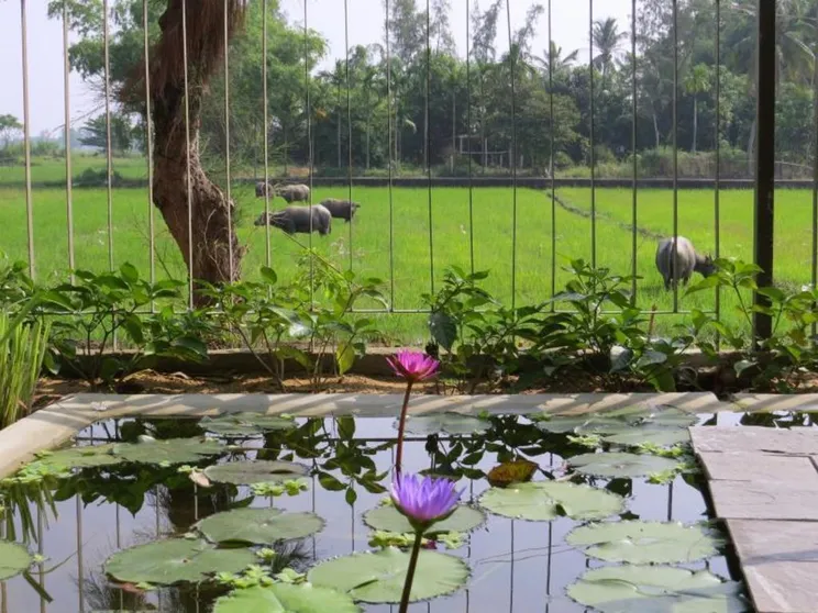 Ảnh Hoi An Greenlife Homestay