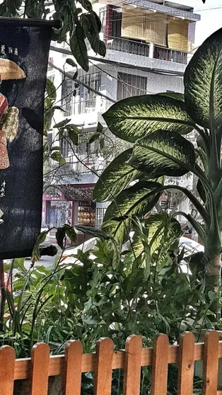 Ảnh Chung cư 45 m² 1 phòng ngủ, 1 phòng tắm riêng ở Lộc Thọ (Vacation Nha Trang Beach  2)