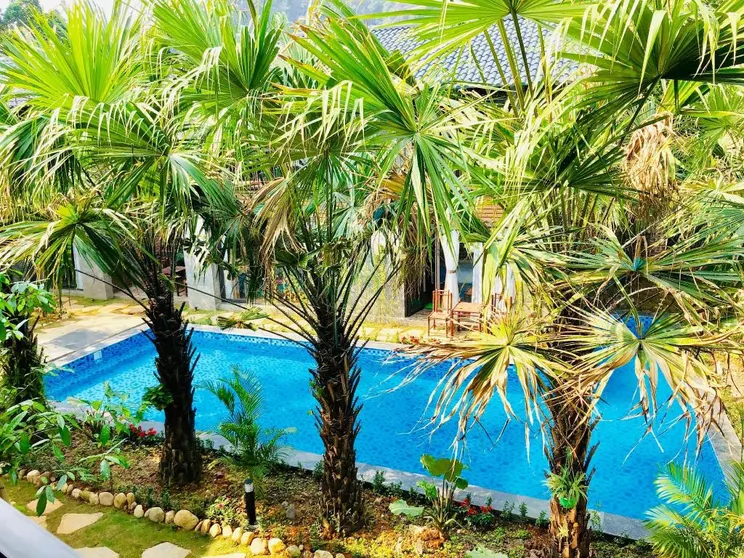 Ảnh King Kong Homestay