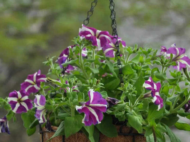 Ảnh Cinnamon Cathedral Hotel