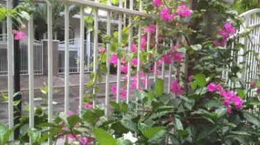 Ảnh Tiffany Hotel Residence