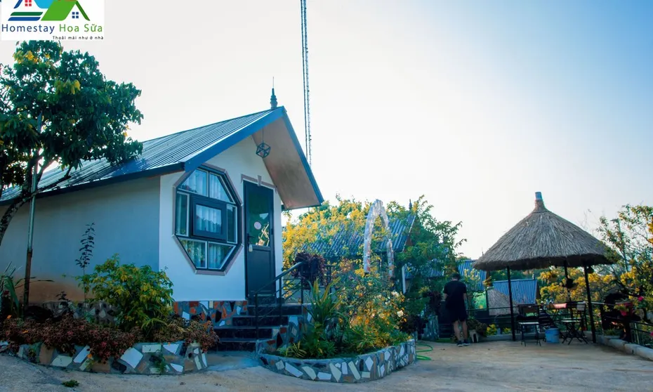 Ảnh Hoa Sữa Homestay