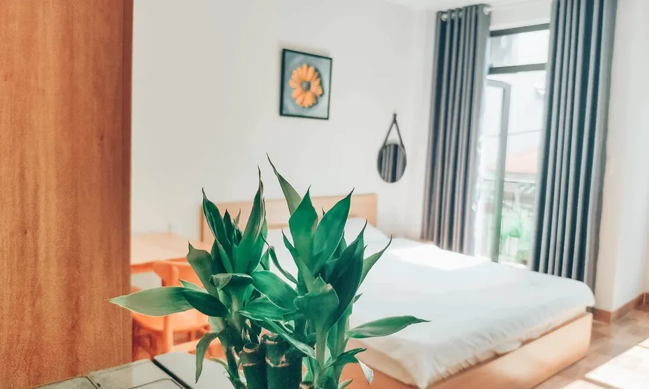 Ảnh Cozy Apartment Hotel