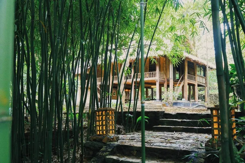 Ảnh Turtle's House Hilltop American Chapter