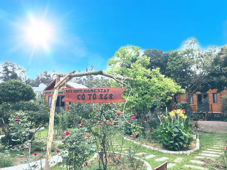 Ảnh Cô Tô 368 Homestay