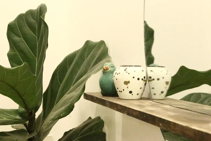 Ảnh Cobe 3 Homestay Đà Lạt