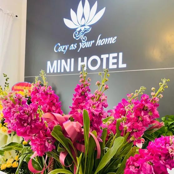 Ảnh Khách Sạn Mini