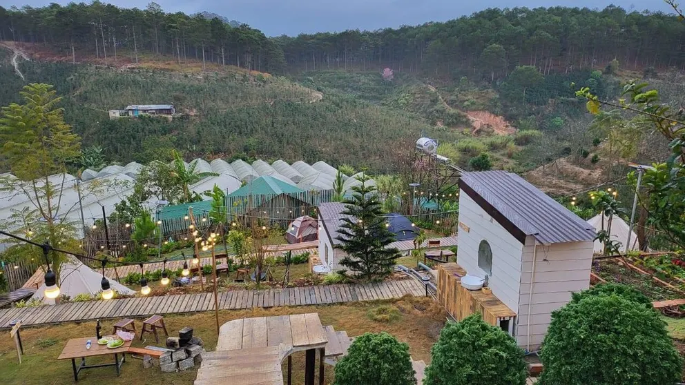 Ảnh Lưng Chừng House