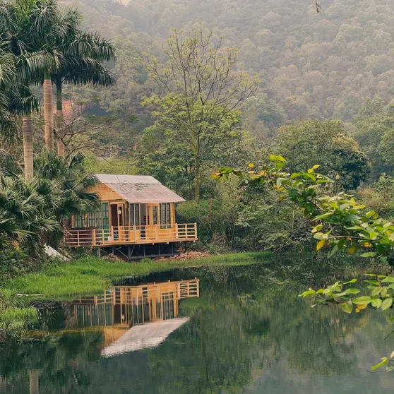 Ảnh Khu Tổ Hợp MAY Homestay & Cafe Sóc Sơn