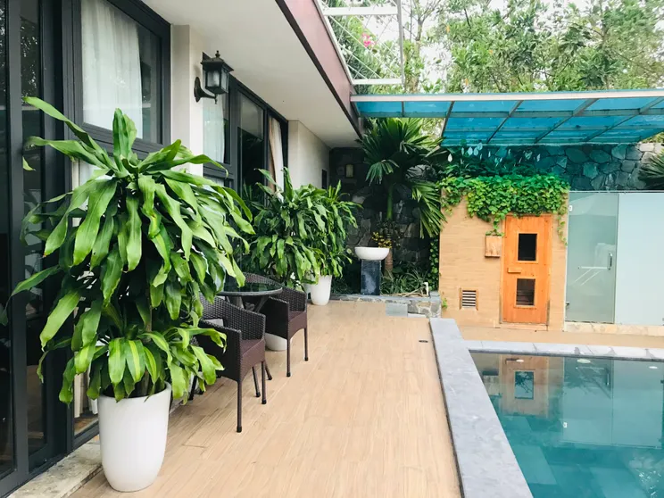 Ảnh Đỗ Quyên Bách Thanh F9 Flamingo 3pn