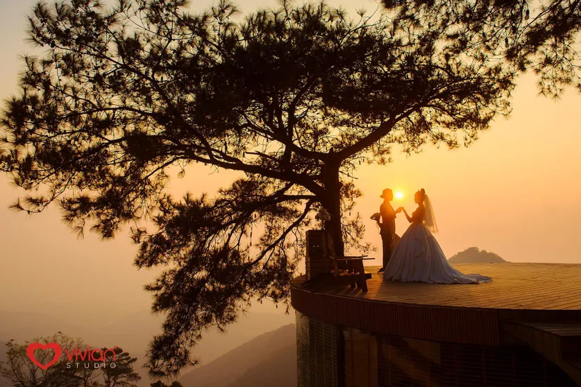 Ảnh T’Valley Homestay Tam Đảo (Mơ Màng Coffee)