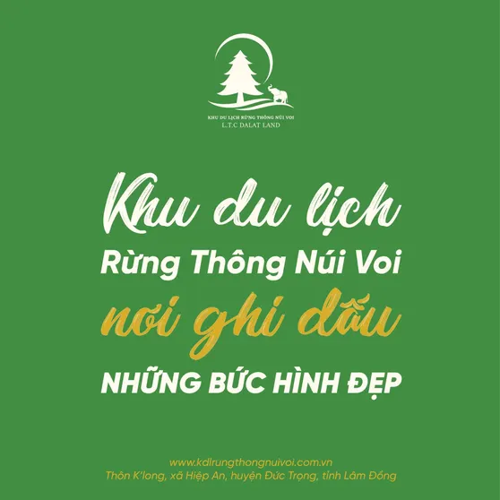 Ảnh Khu du lịch Rừng thông núi voi