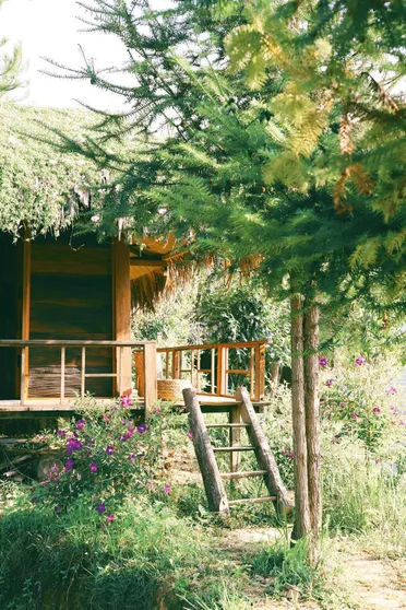 Ảnh Hello Mu Cang Chai Homestay