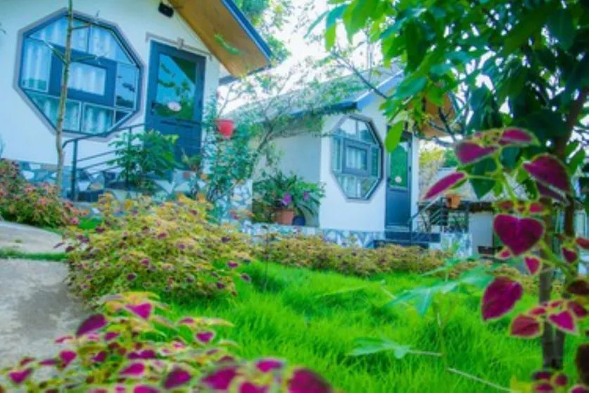 Ảnh Homestay Hoa Sua