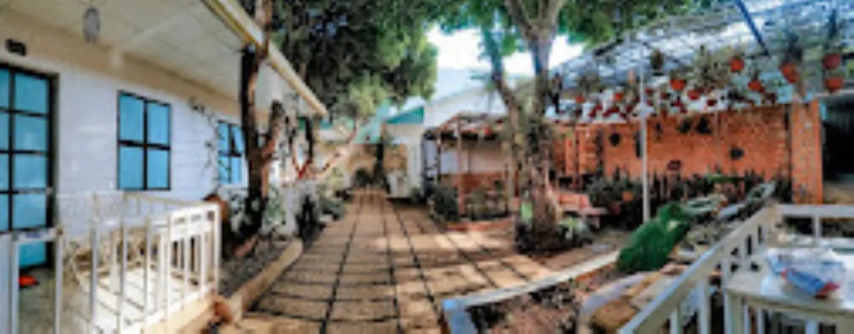 Ảnh Homestay Vườn Nhãn