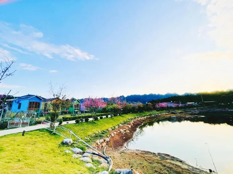 Ảnh Homestay Gió Mộc