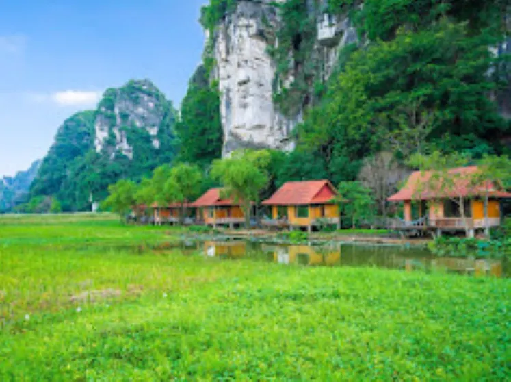 Ảnh Lotus Field Homestay