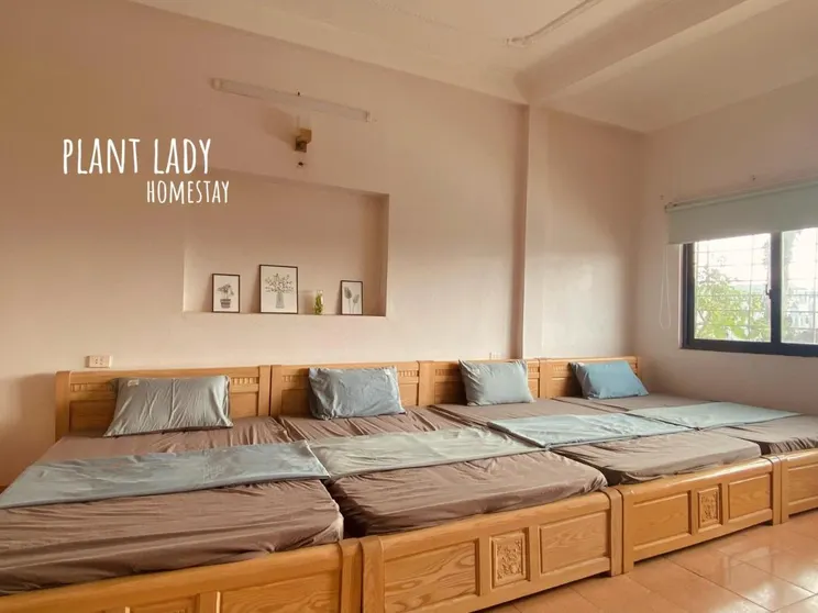 Ảnh Plant Lady Homestay Cao Bằng