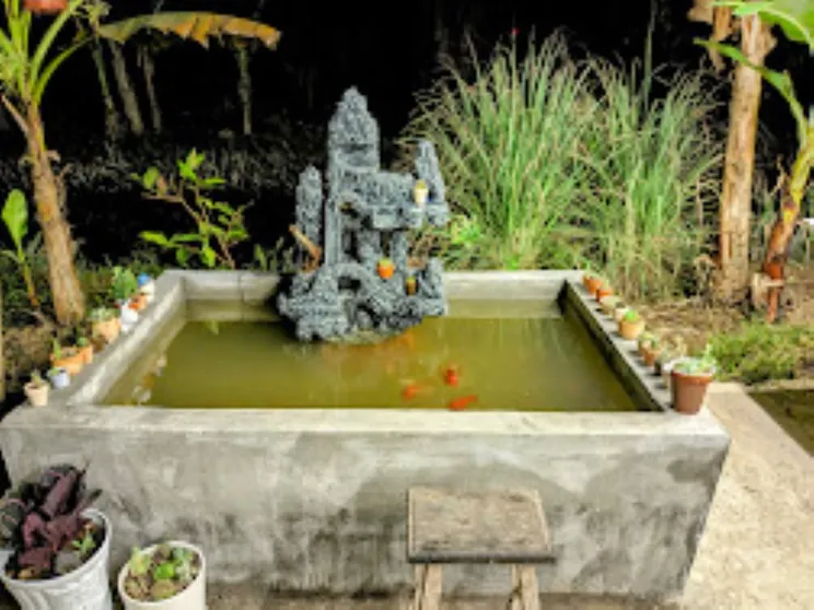 Ảnh Coco Happy Farm