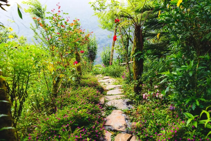 Ảnh The Link farmstay