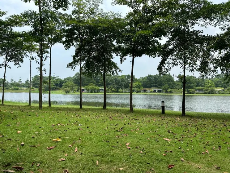 Ảnh Forest Villa 315 Flamingo Dai Lai