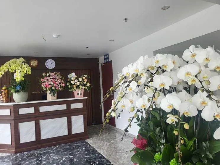 Ảnh Golden Joy Hotel & Apartment
