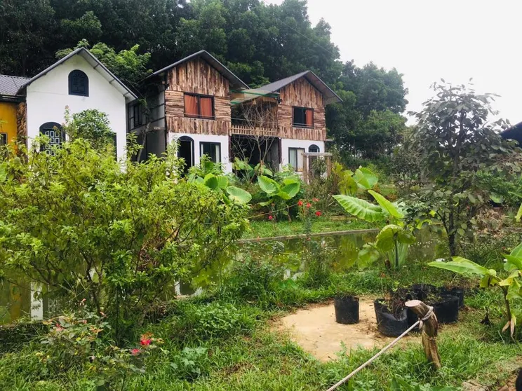 Ảnh Stella Đồng Lâm Homestay