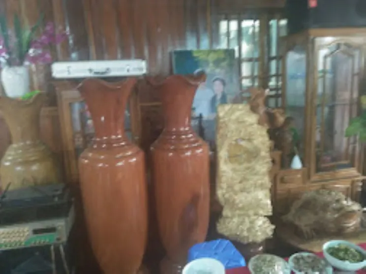 Ảnh Phuong Dong Hotel